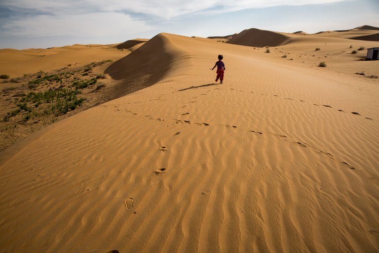 Click to enlarge An incorrect perception of 'climate change' courtesy of the NY Times