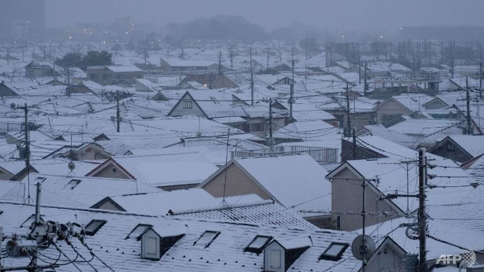 File photo shows roofs of houses covered with snow in Tokyo on Feb 2, 2018.