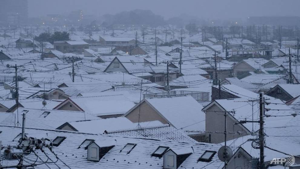 Click to enlarge File photo shows roofs of houses covered with snow in Tokyo on Feb 2, 2018.
