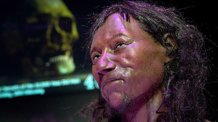 chedar man dna