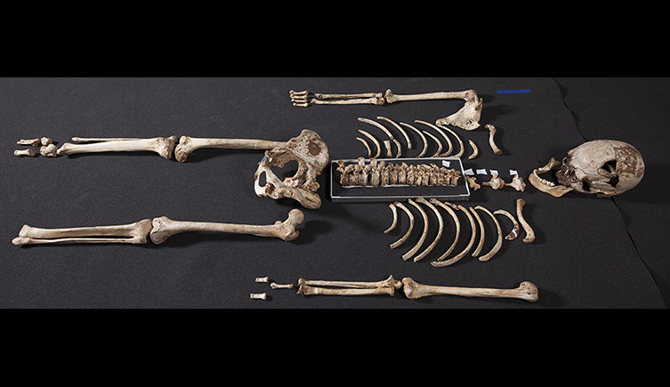 cheddar man british dna