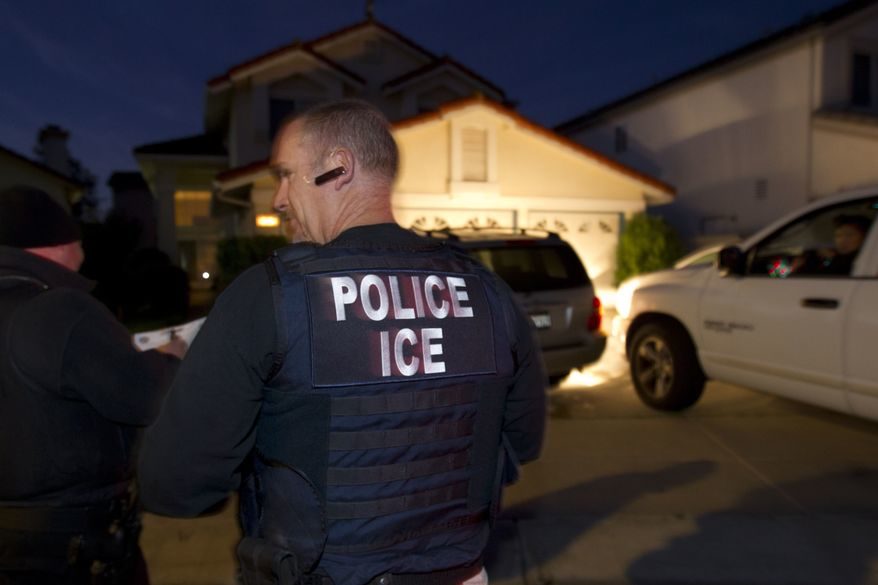 Immigration and Customs Enforcement (ICE) agent