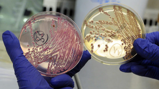 It's raining viruses! Billions fall from the sky everyday