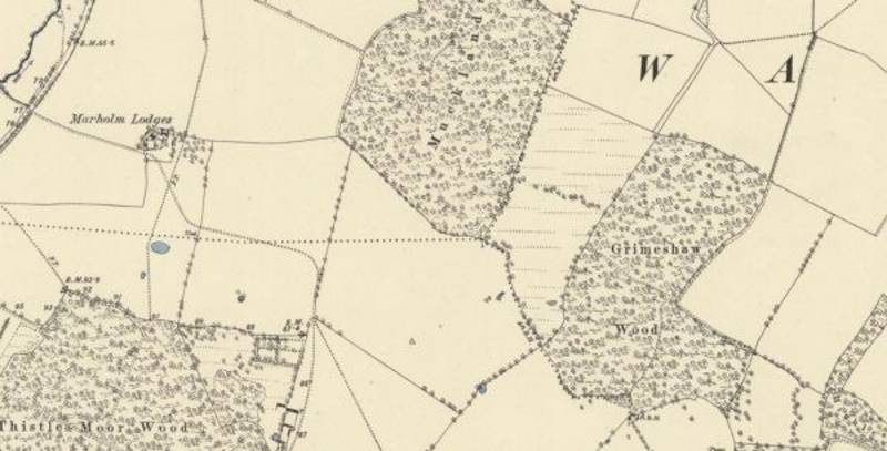 Click to enlarge grimshaw wood wild hunt