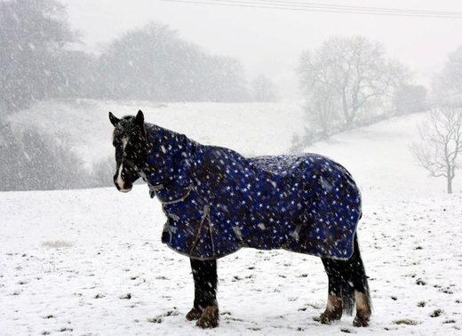 Click to enlarge Northern Ireland snow Feb 2018