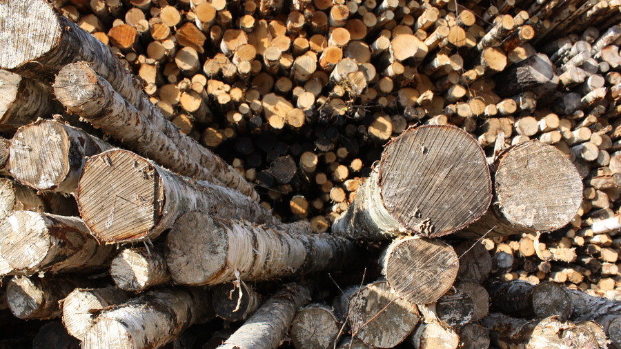 wood