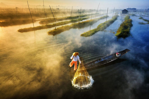 Click to enlarge An Intha fisherman sets up his net to fish as he paddles his boat with a unique leg-rowing technique in Mayanmar’s Inle Lake.