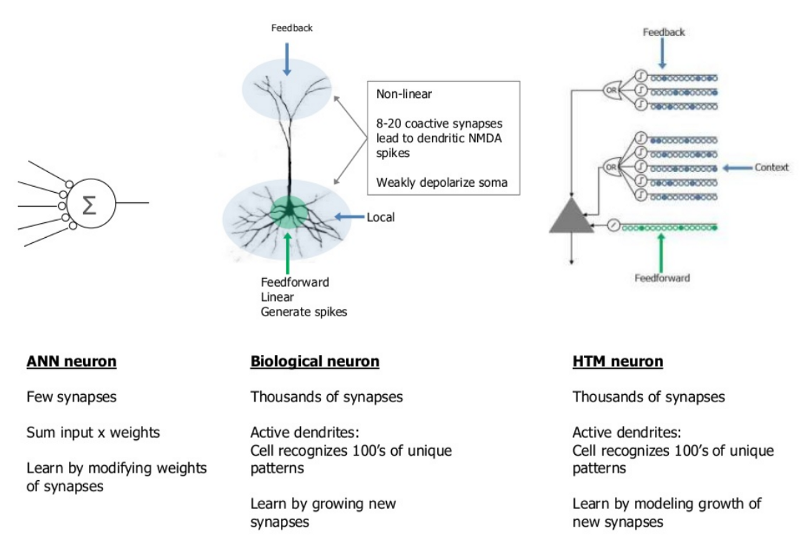 neurons graphic
