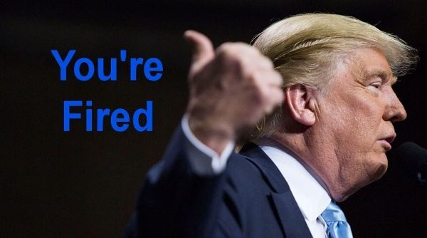 Trump you're fired