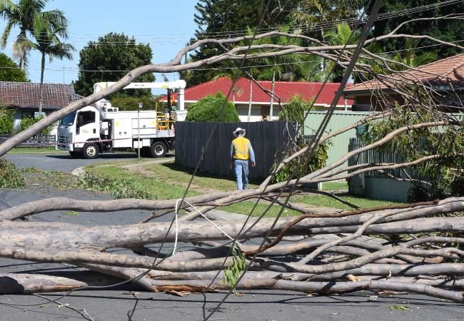Click to enlarge The storm left trees blown over and power lines down across the road in Pinnington St, Creastmead.
