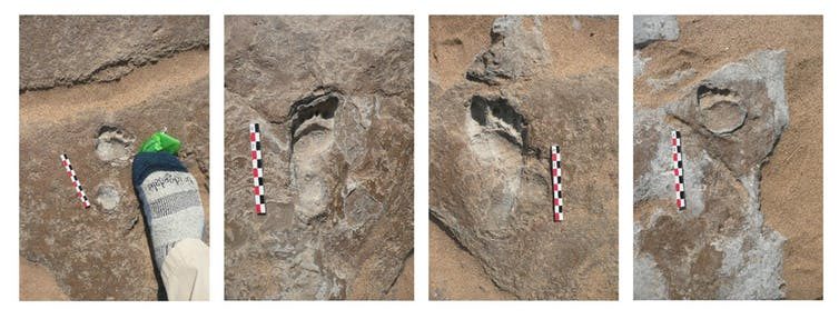 prehistoric footprints