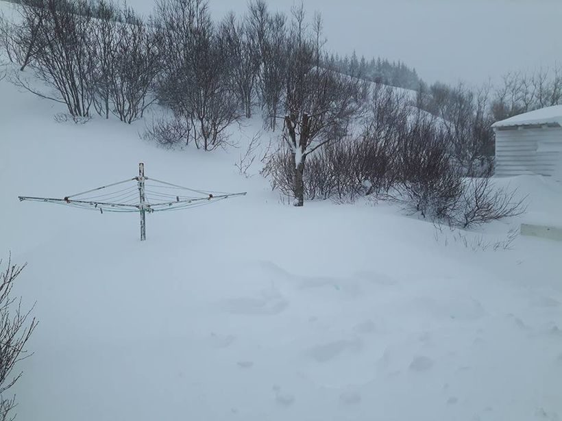 Rebekka's first photo of the washing line.