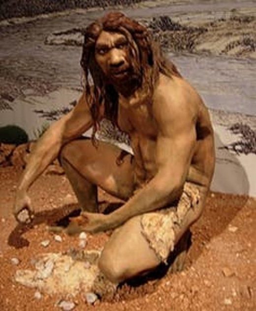 Homo Heidelbergensis ancient human