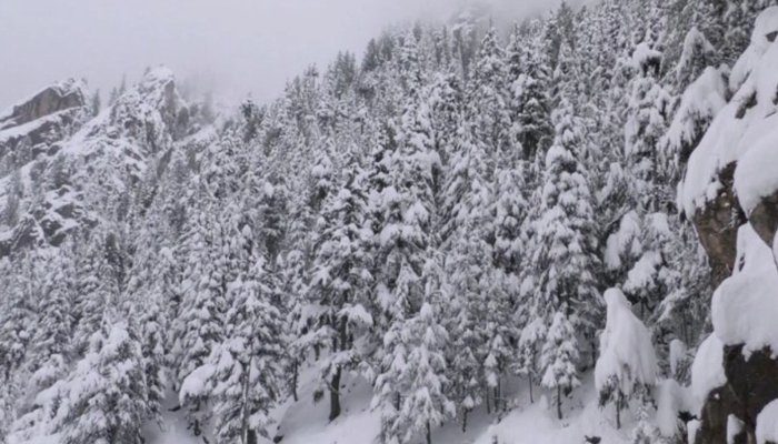 Click to enlarge snow