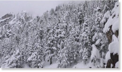 snow