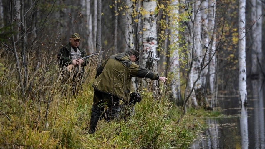 Russian gun dog competition