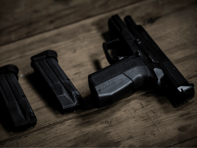 firearm gun