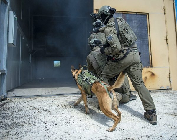 IDF canine unit