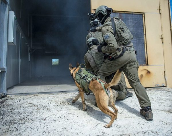 Click to enlarge IDF canine unit