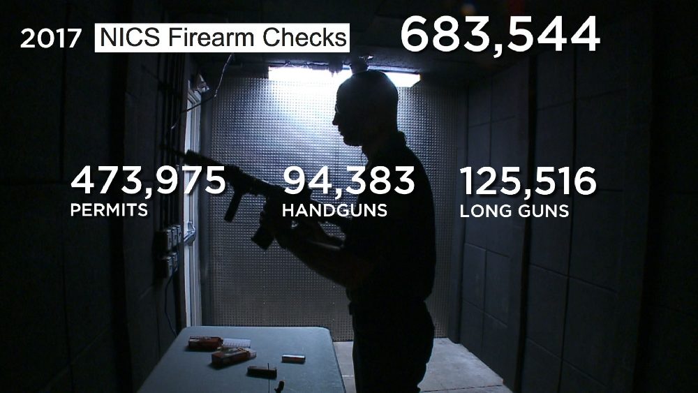 Guns in Minnesota