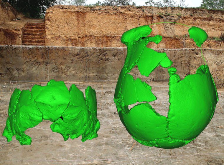 Virtual reconstructions of the Xuchang 1 and 2 human crania, superimposed on the archeological site where they were discovered.