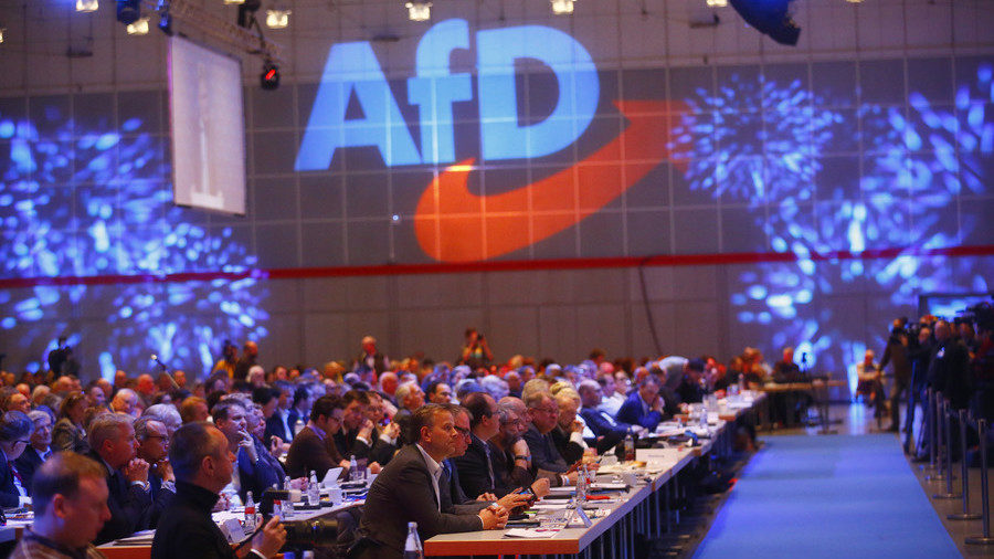Click to enlarge afd party