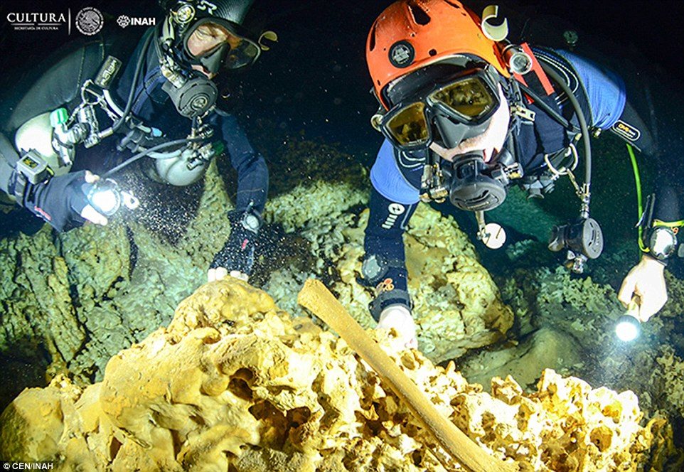 Click to enlarge divers