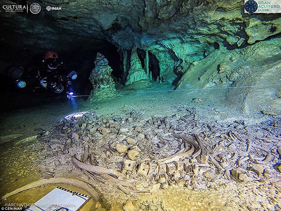 Click to enlarge underwater bones