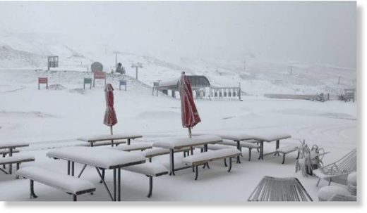 Cardrona has had 15cm of snowfall over the last 20 hours.