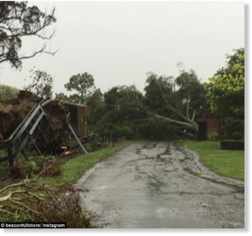 Fences were destroyed and trees pulled to the ground by the ex-cyclone on Tuesday