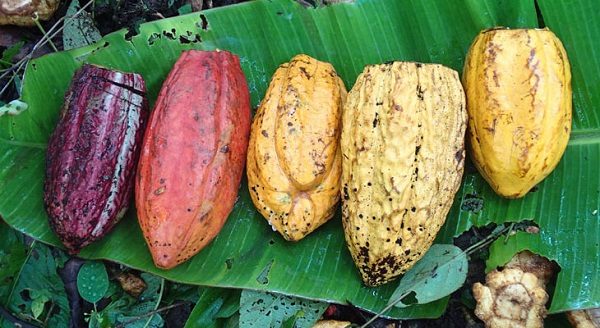 Click to enlarge Pods