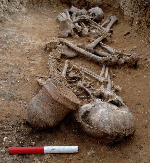 Click to enlarge beaker skeleton culture britain