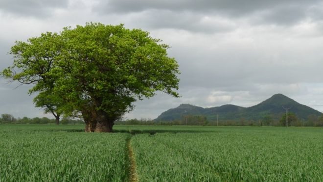 Click to enlarge Wales: 1,000-year-old