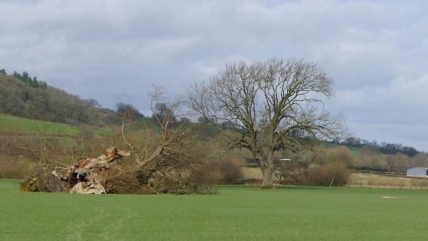 Click to enlarge Wales: 1,000-year-old