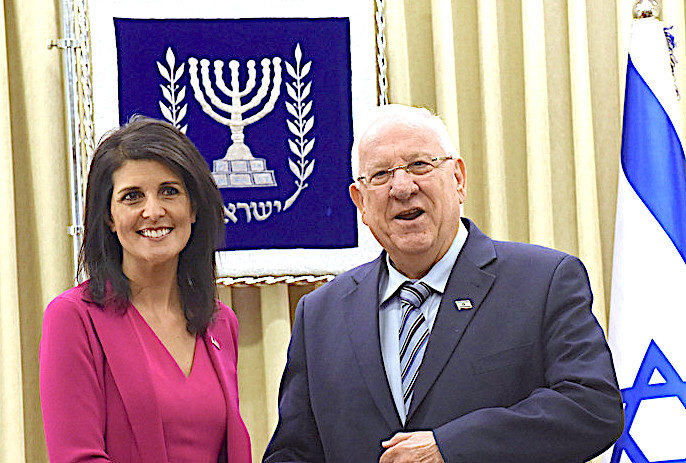 Click to enlarge Haley Rivlin