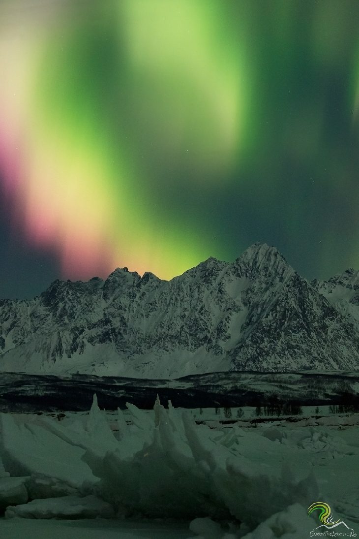 Click to enlarge Spotless sun sparks pink auroras