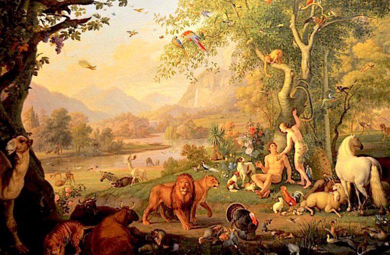Garden Of Eden Story Garden Of Eden Background Story Of Creation