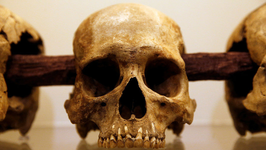 Sweden's 8,000yo skulls were brutally smashed and mounted on stakes - study