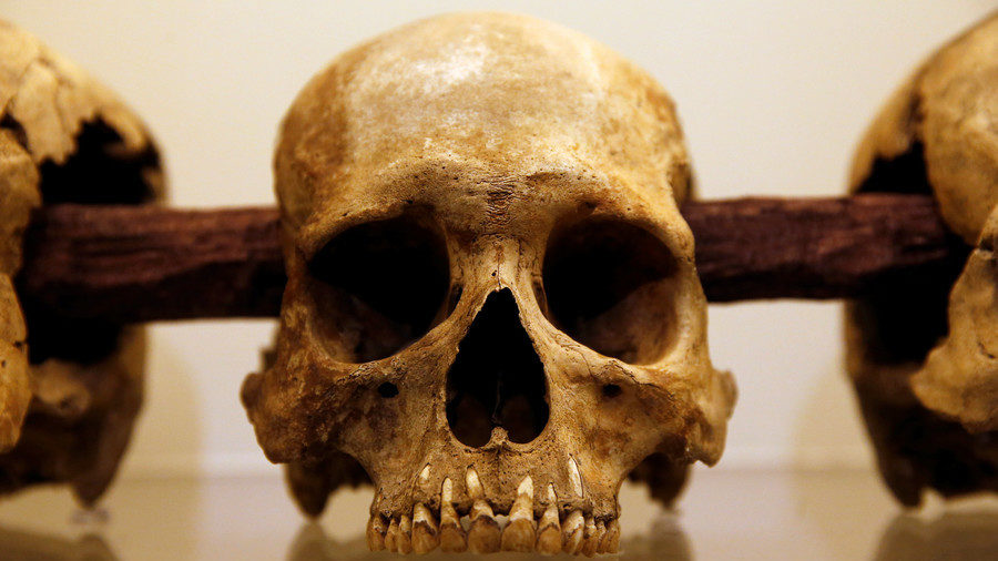 Click to enlarge Sweden's 8,000yo skulls were brutally smashed and mounted on stakes - study