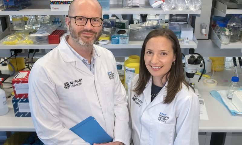 (L-R): This is an image of Monash BDI researchers Professor Ben Kile and Dr Kate McArthur.