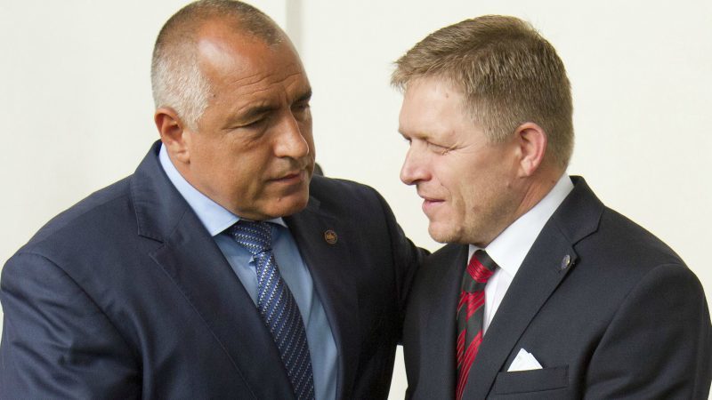 Click to enlarge Borissov Fico