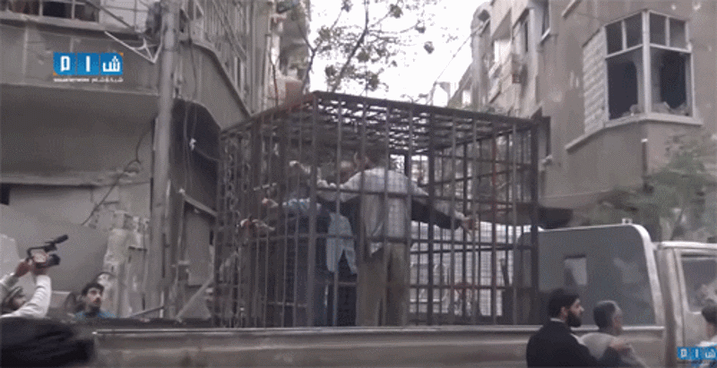 Click to enlarge human shields east ghouta