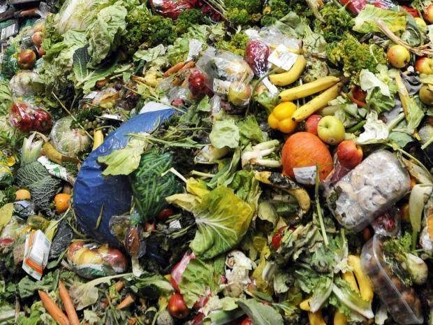 waste food