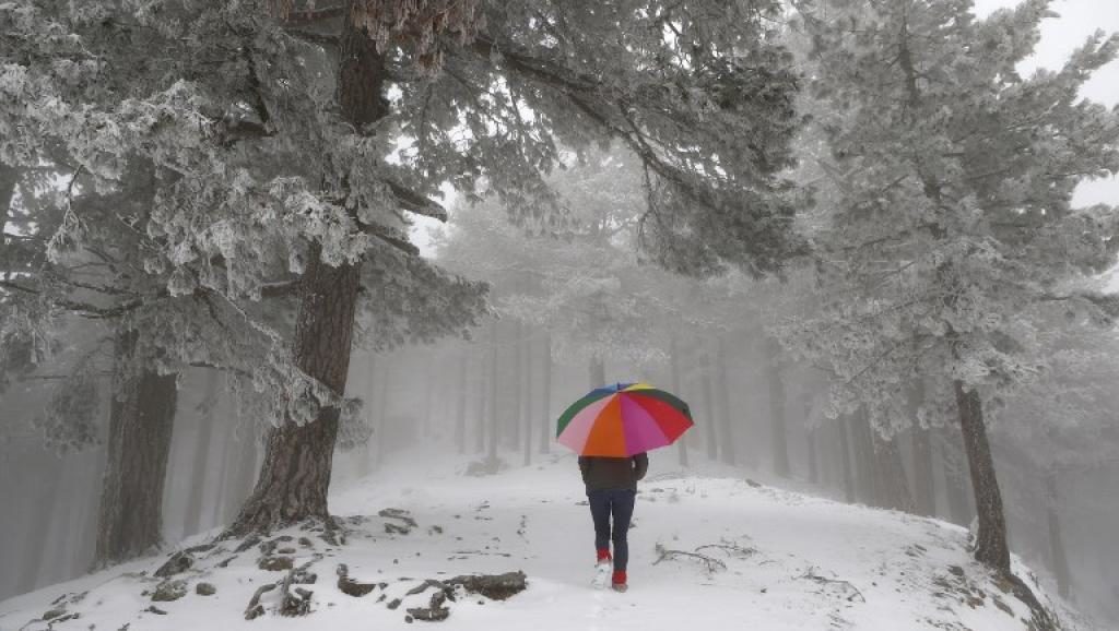 Click to enlarge walking in the snow