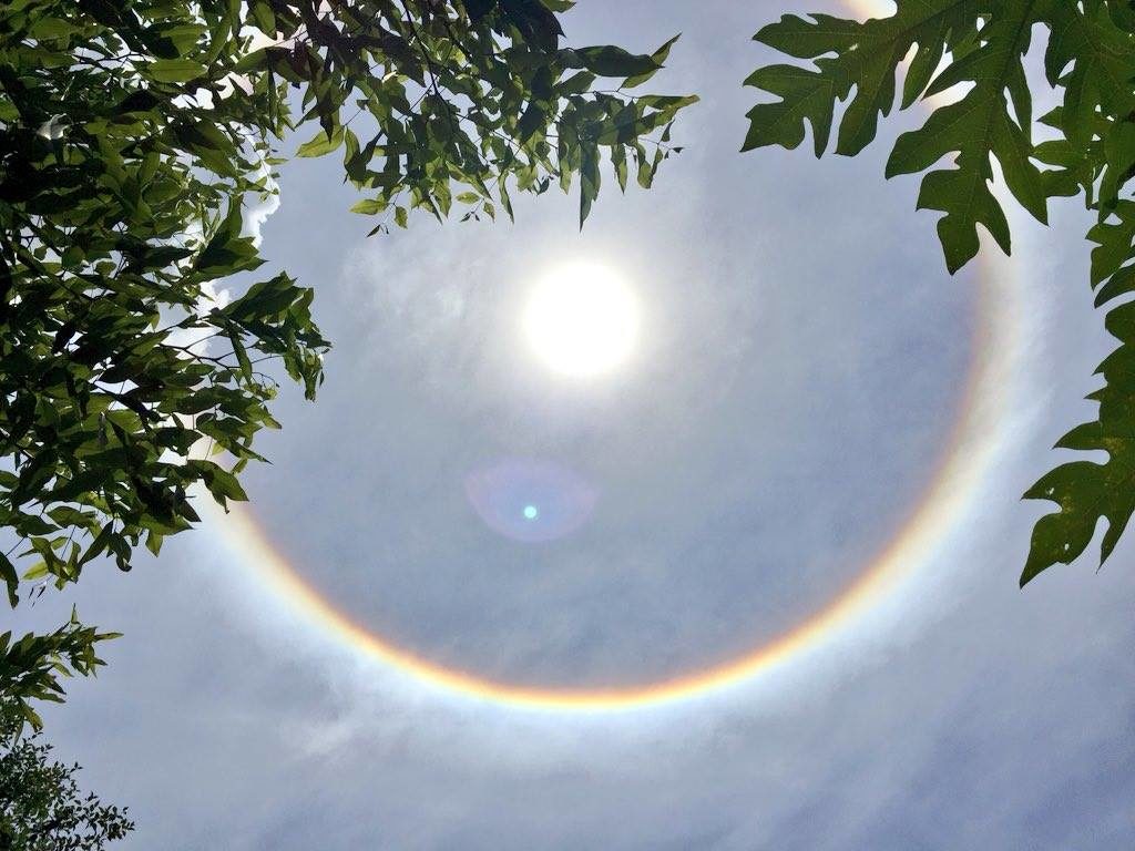 Click to enlarge SUMMER SUN HALOS Florianópolis