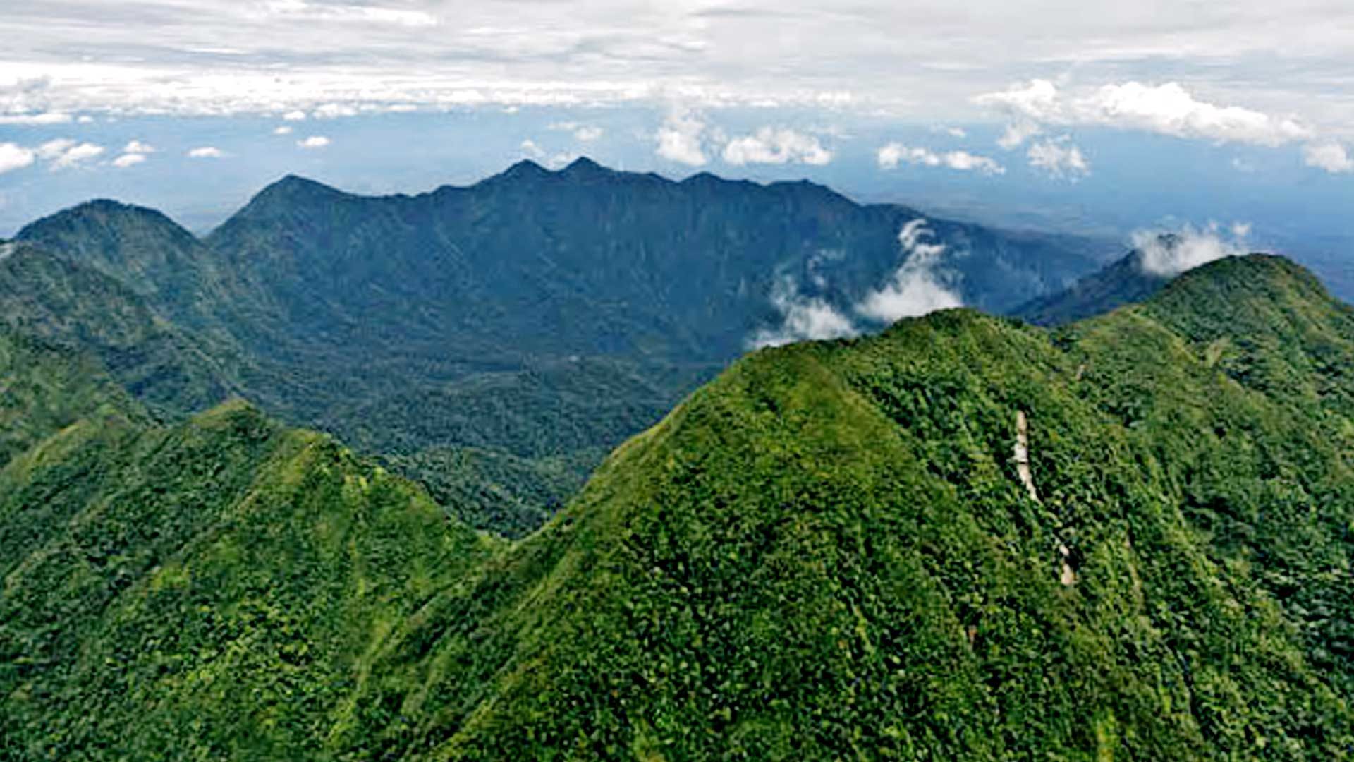 Click to enlarge Mt Bosavi