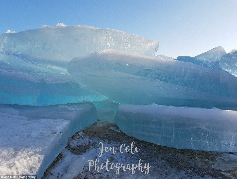 In the middle of her work shift Sunday morning, mother-of-three Tori Burley received a text message from her father that excited her: 'The blue ice is back!'