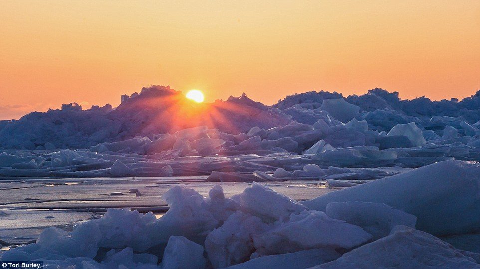 Burley said she advises fellow photographers to shoot at sunrise or just before sunset to get the perfect shot