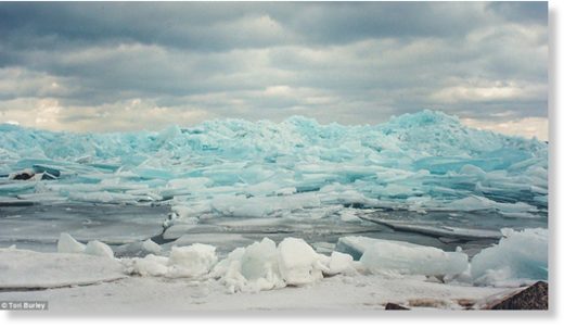 Click to enlarge 'We grabbed our cameras and took a hike out on the ice to explore,' Caverly told the Press. 'The ice had piled up and there were great views everywhere'