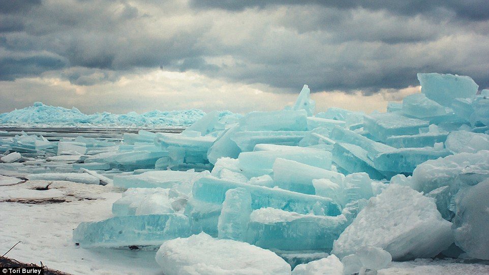 'I grew up watching my dad take photos and share that passion with him,' she said. 'I love the beauty of northern Michigan'